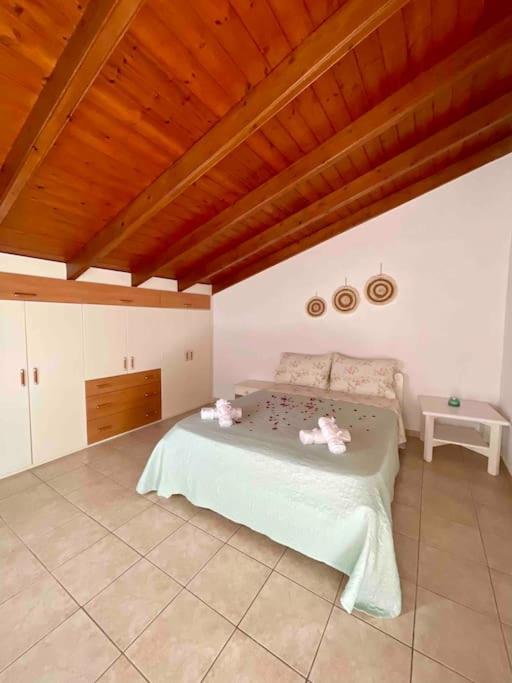 Apartment Tsirigotis Hous Acharavi (Corfu)